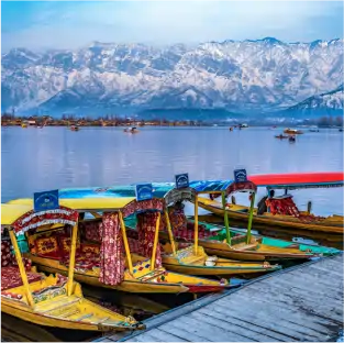 Kashmir